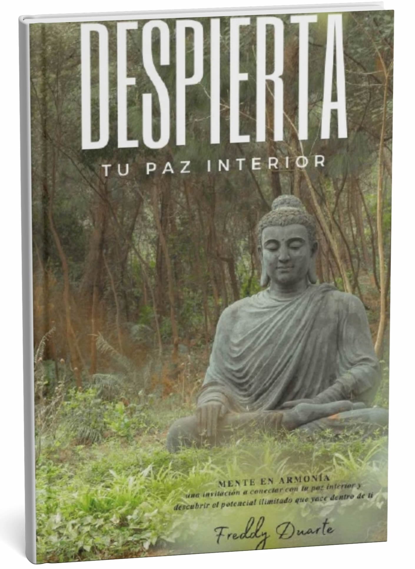 Despierta tu Paz Interior